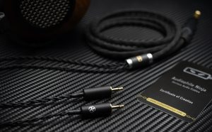 Dual 2.5mm Headphone Cable Emotiva Monoprice Verum Hifiman Headphone Cable Connectors - Close Up